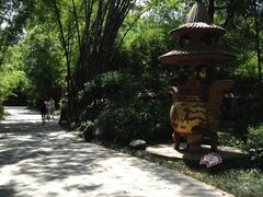 IMG_2106-望江楼公园