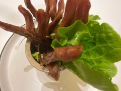 -同庆楼(滨湖万达广场店)