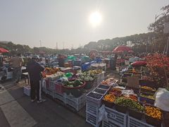 -雪绒花路停车场