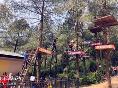 -梦幻奥陶纪景区