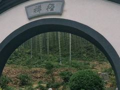 -东明山森林公园