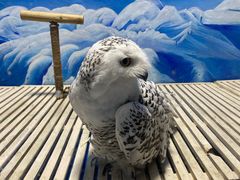 -成都浩海立方海洋公园