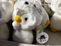 -大连圣亚海洋世界