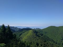 -武陵山森林公园