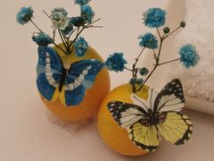 -福建鲤鱼洲酒店