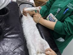 -心仪动物医院·牙专科·肿瘤·心脏科(西客站院)