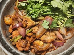-禄婶鸡煲·打边炉