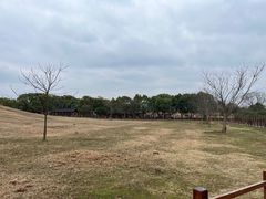 -良渚古城遗址公园