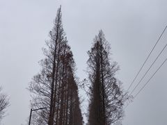 -嘉北郊野公园