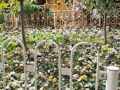 -黄埔古港