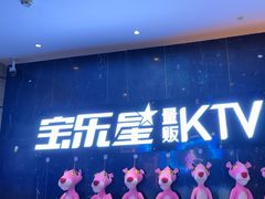 -宝乐星量贩KTV(莲升路店)