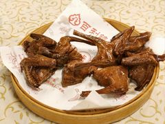 -百利鸽王(紫薇路店)