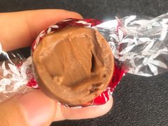 -加拿大国家电视塔