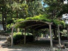-叶家花园