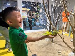 -上海大自然野生昆虫馆(东方明珠·爬宠昆虫探索中心)