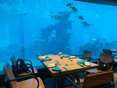 -海棠湾洲际-涛·海底餐厅·美人鱼·自助餐·海底隧道