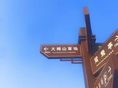 -大姆山草场