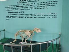 -沈阳森林动物园