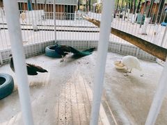 -蓝地时尚庄园(北京清河营地铁站店)