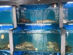 -桔子海鲜烧烤大排档(金沙滩店)