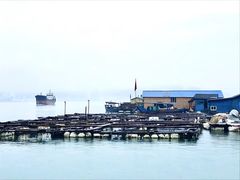-罗源湾8号渔排