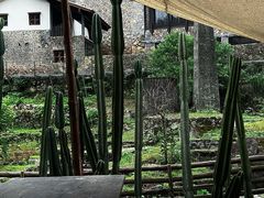 -MOJ coffee(瓯海泽雅水碓坑店)