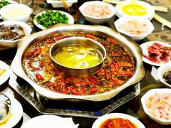鸳鸯锅-九尺赵老四鲜鹅肠火锅
