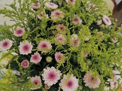-双季花艺园艺市场(浦东店)