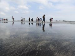 -台山黑沙湾海浴场