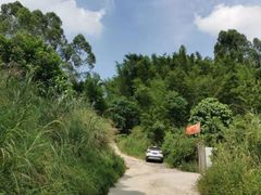 -黄埔油麻山森林公园