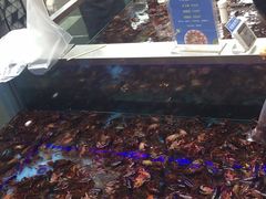 -盒马鲜生(宝地店)