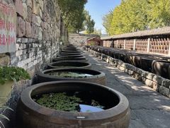 -鄞州雪菜博物馆