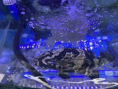 -晶渔坊·海鲜私房菜(东夷小镇店)