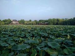 -敬亭山风景名胜区