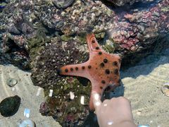 -新加坡海洋生态馆