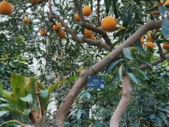 -国家植物园南园