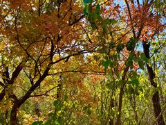 -鹫峰国家森林公园