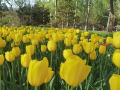 -国家植物园南园