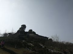 -秀丽东方