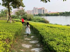 -华侨大学(厦门校区)