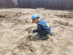 -春花秋色城市公园