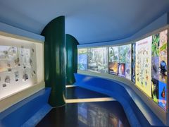 -上海昆虫博物馆