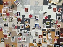 -翊宠yipet猫狗购宠庄园犬舍•猫舍