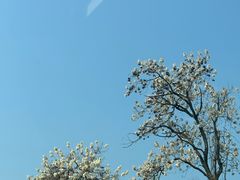 -杭州大厦购物城