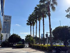 -泰康拜博口腔医院(江北总院)