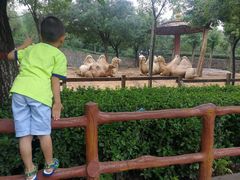 -石家庄市动物园