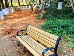 -苏州河梦清园环保主题公园