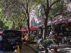 -宝鸡东道花鸟鱼虫市场(吉利花园商场店)