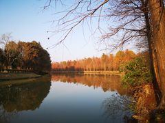 -上海海湾国家森林公园