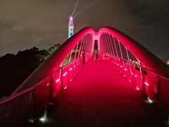 -金鸡山公园